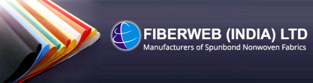 Fiberweb India Multibagger